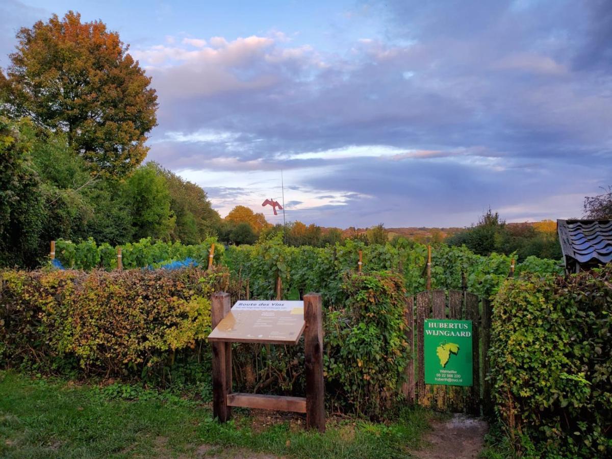 Wahlwiller A Little Peace And Quiet Bed & Breakfast エクステリア 写真