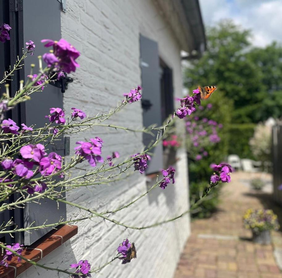 Wahlwiller A Little Peace And Quiet Bed & Breakfast エクステリア 写真