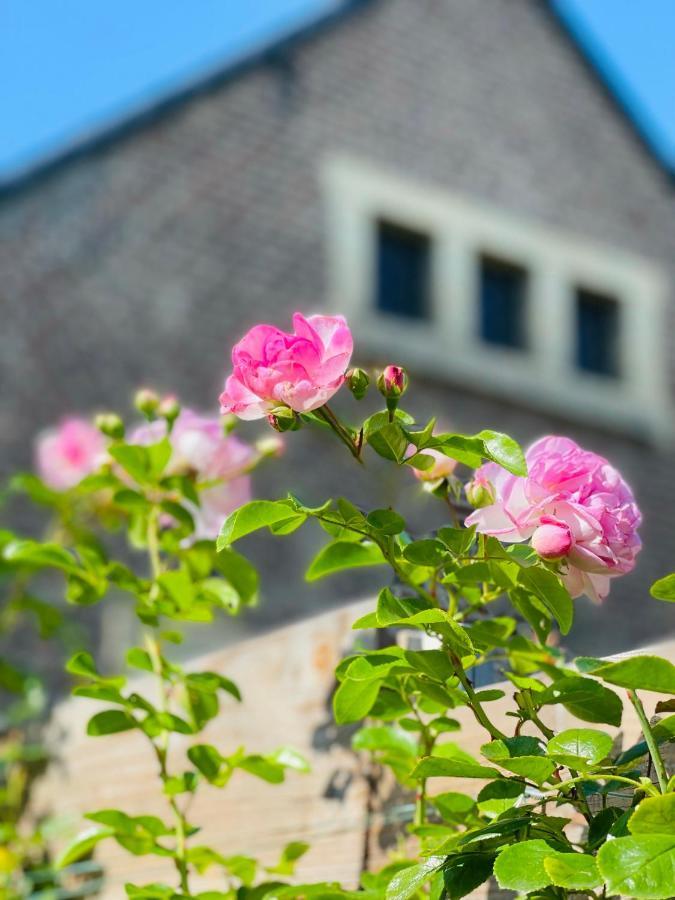 Wahlwiller A Little Peace And Quiet Bed & Breakfast エクステリア 写真